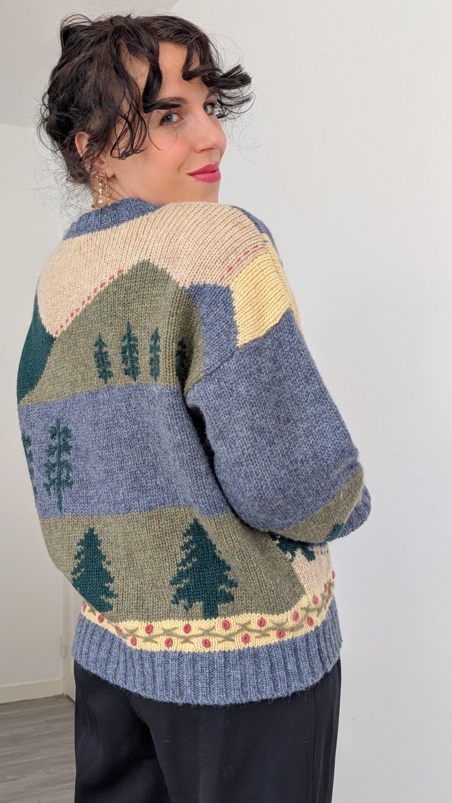 Cardigan laine shetland T40-42