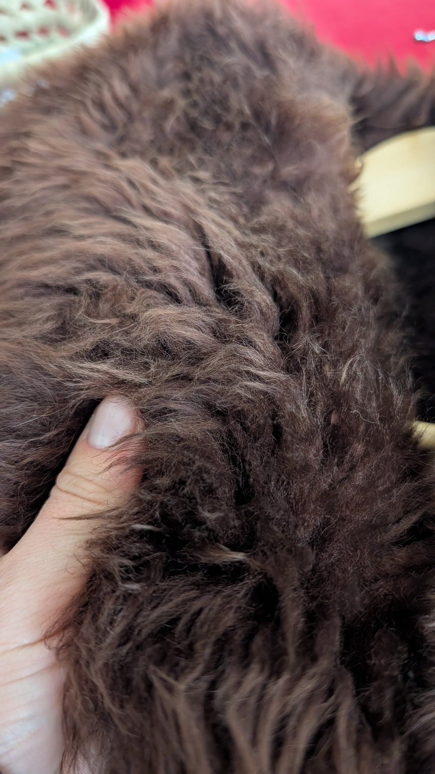 Manteau peau lainée T38-40