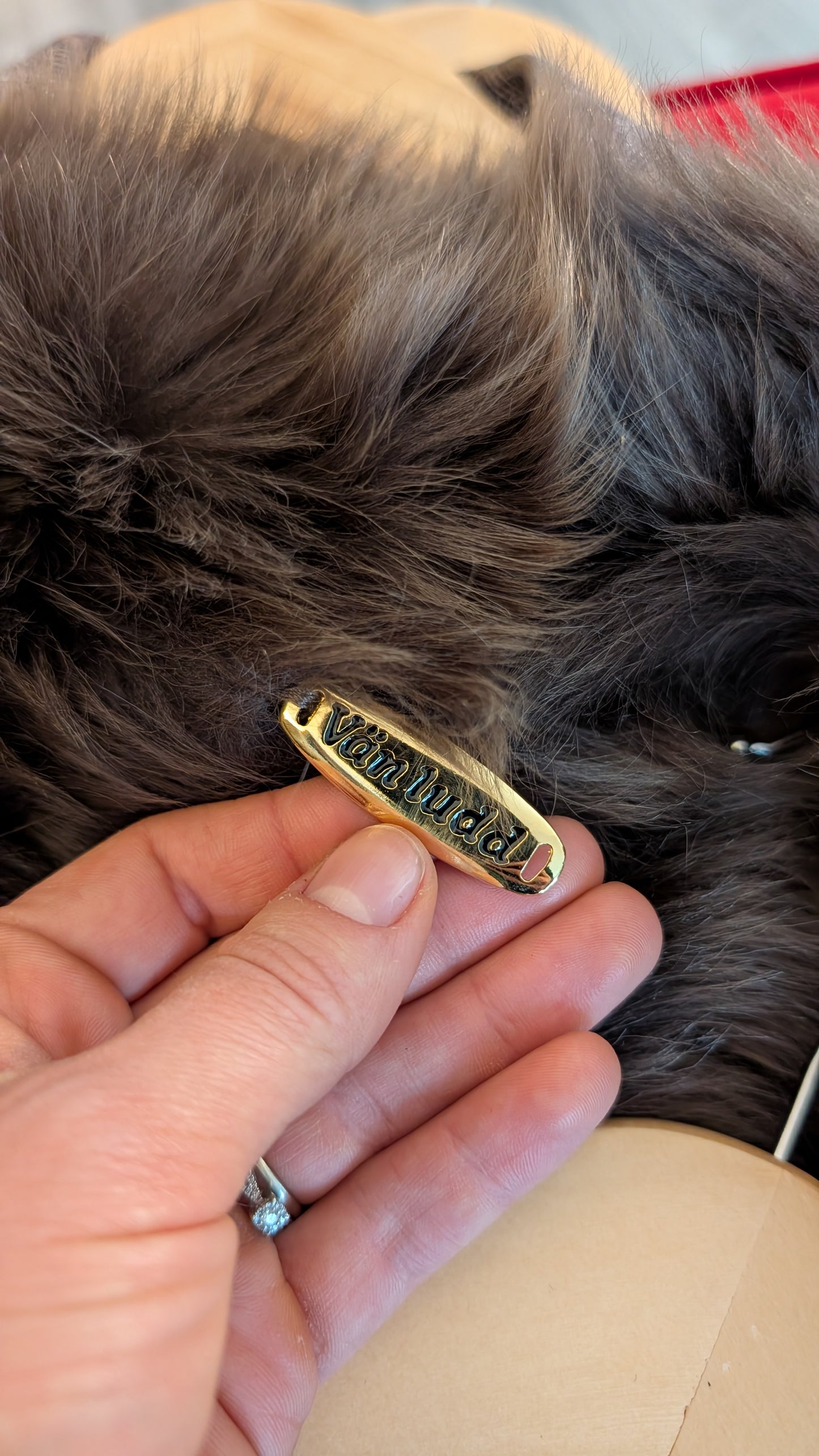 Manteau peau lainée mouton T40-42