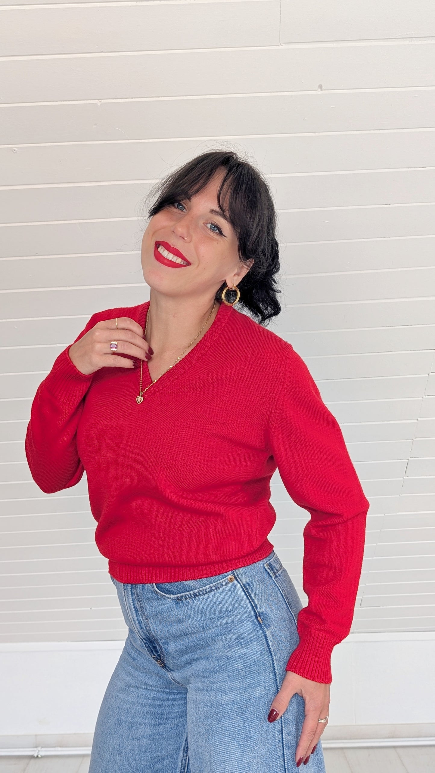 Pull pure laine Pierre Cardin T36