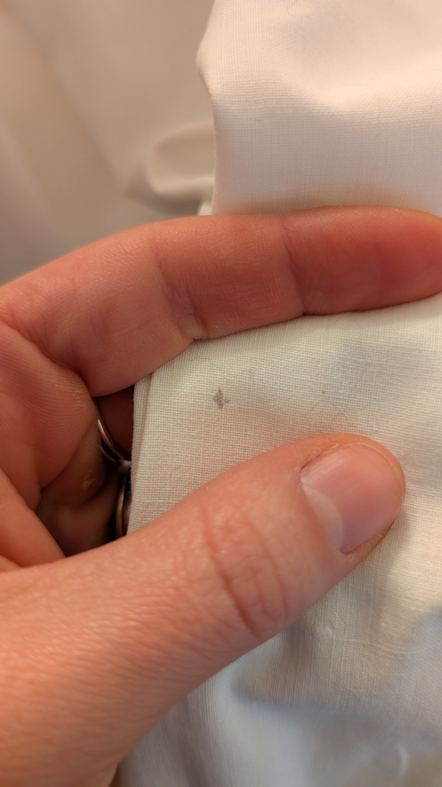 Chemise brodée coton fin 1800 début 1900 T38