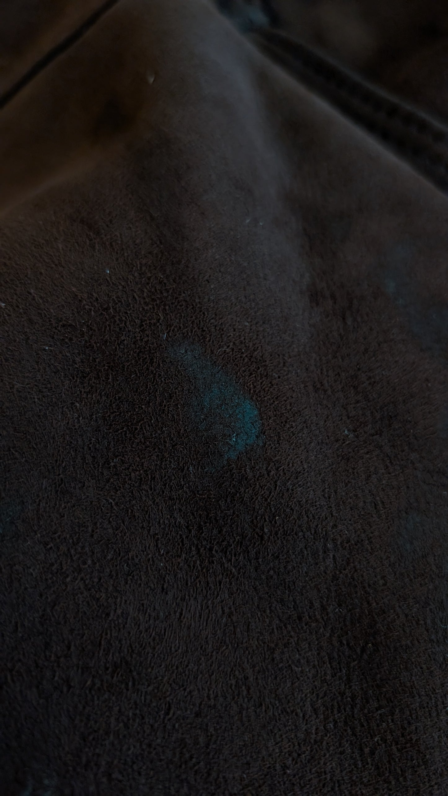 Peau retourné mouton jusqu'à T42