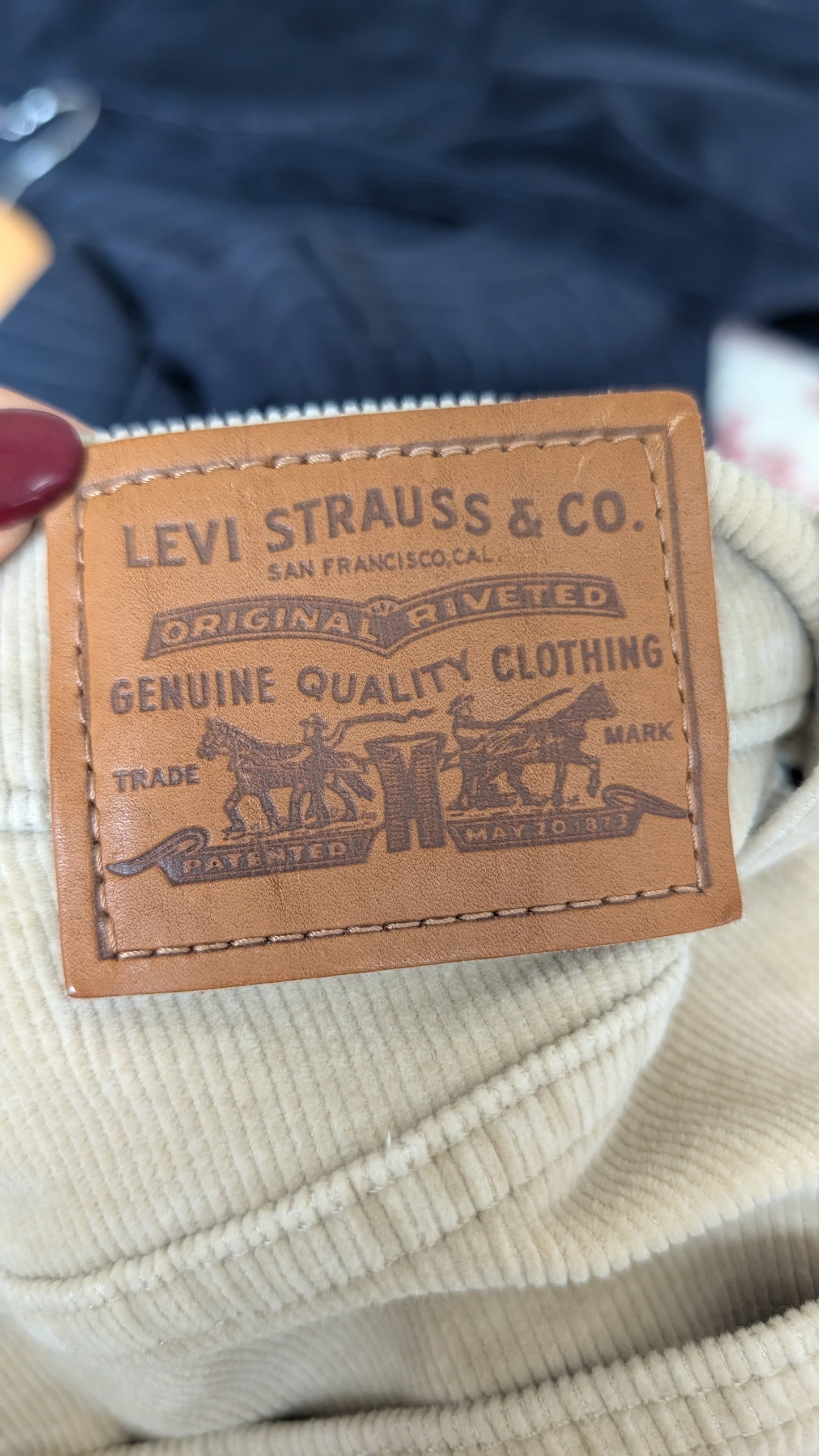 Jeans Levis velours Ribcage T36